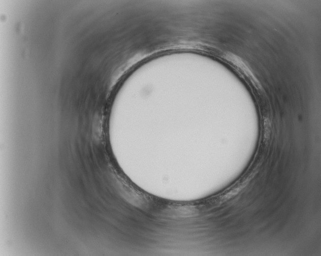 X0000086331260200704271933