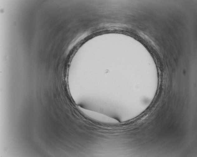 X0000086331261200704271933