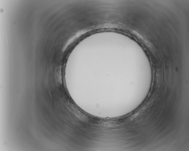 X0000086331262200704271933