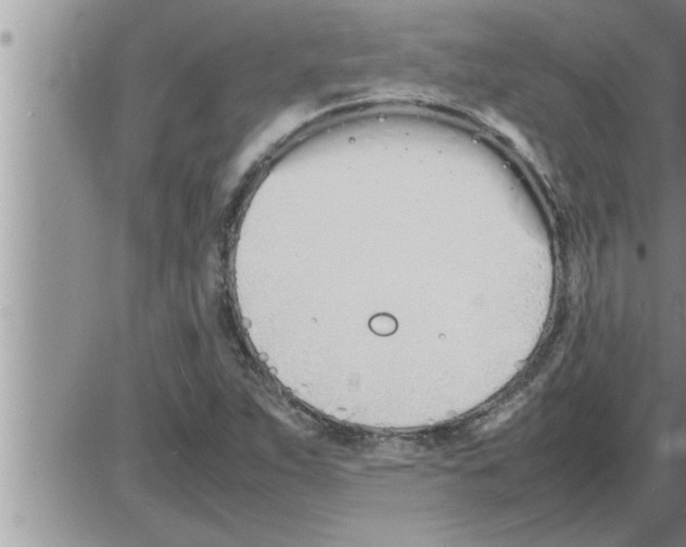 X0000086331263200704271933