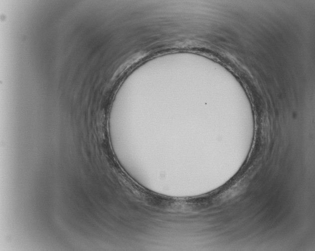 X0000086331265200704271933