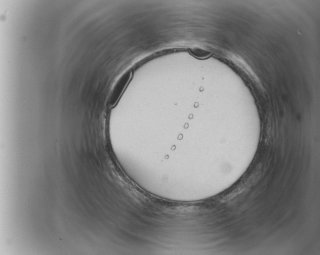 X0000086331268200704271933