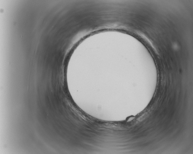 X0000086331270200704271933