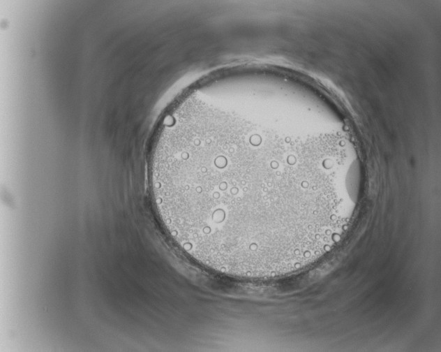 X0000086331271200704271933