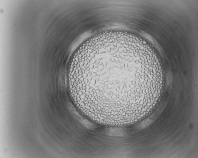 X0000086331274200704271933