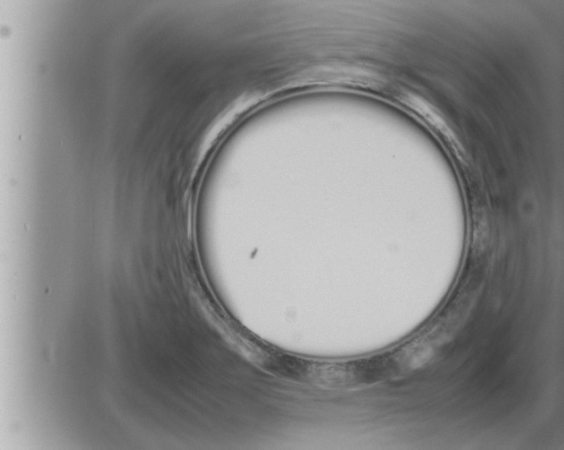 X0000086331275200704271933