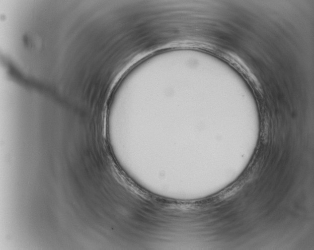 X0000086331276200704271933