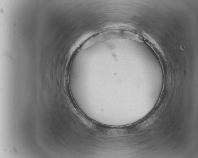 X0000086331277200704271933