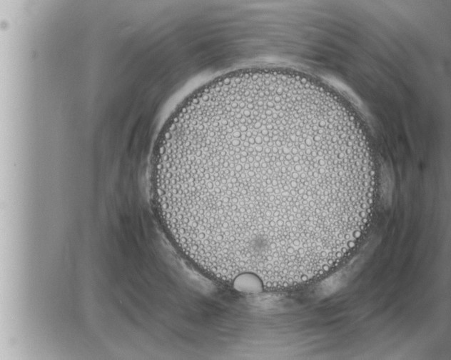 X0000086331278200704271933