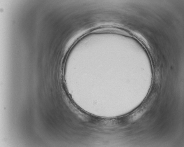 X0000086331279200704271933