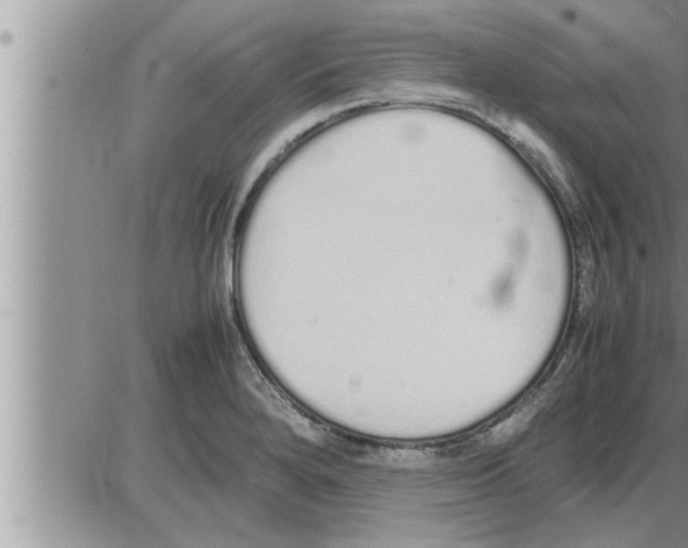 X0000086331280200704271933