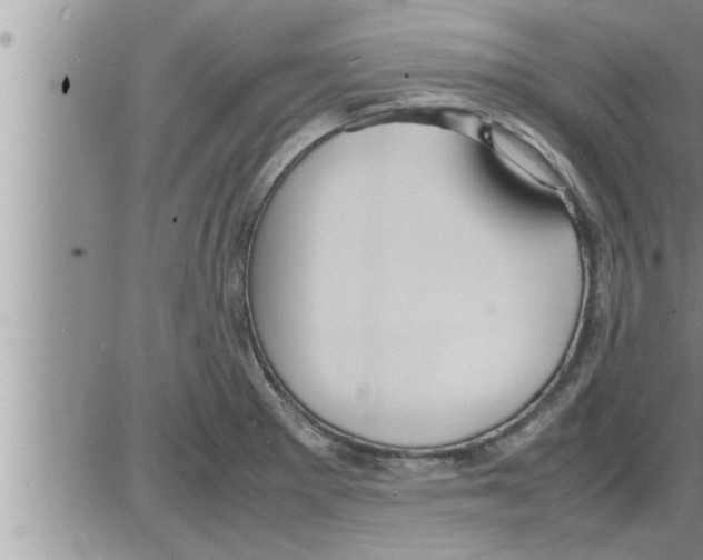 X0000086331281200704271933