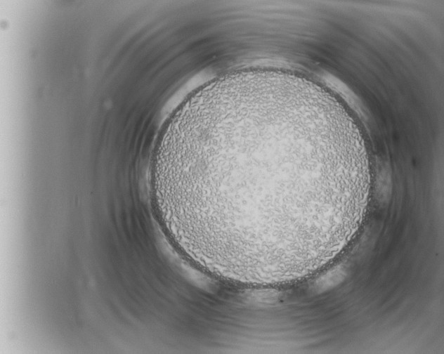 X0000086331282200704271933