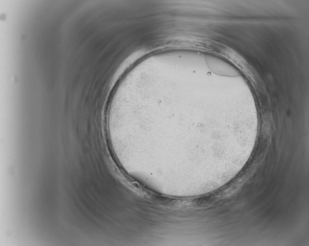 X0000086331283200704271933