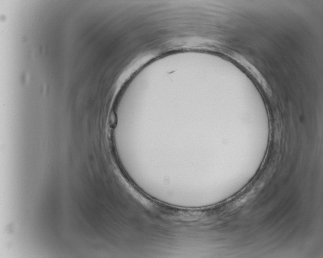 X0000086331285200704271933