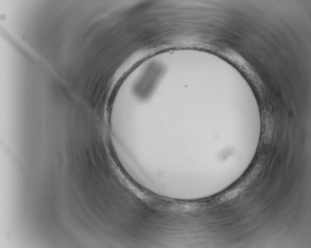 X0000086331286200704271933