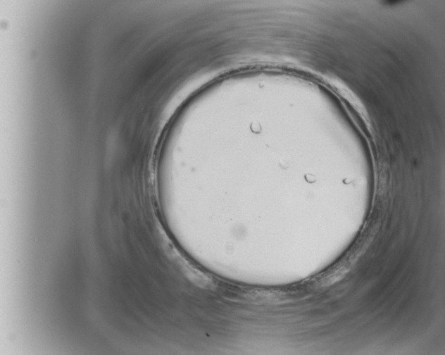 X0000086331287200704271933