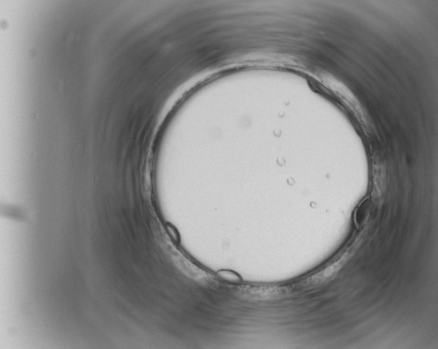 X0000086331288200704271933