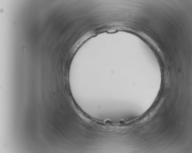 X0000086331289200704271933