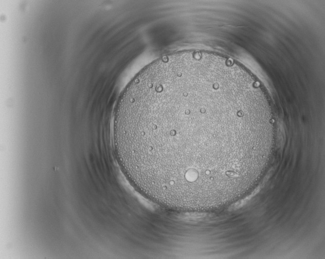 X0000086331290200704271933