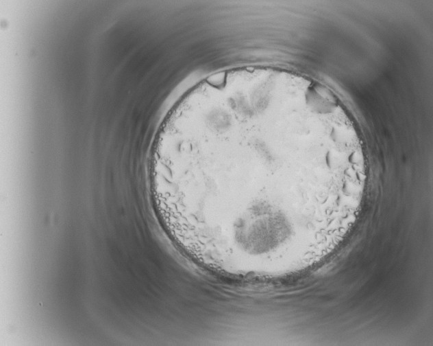 X0000086331291200704271933