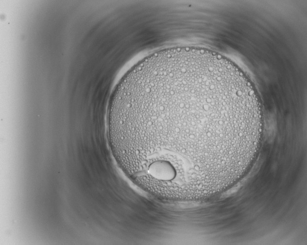 X0000086331294200704271933