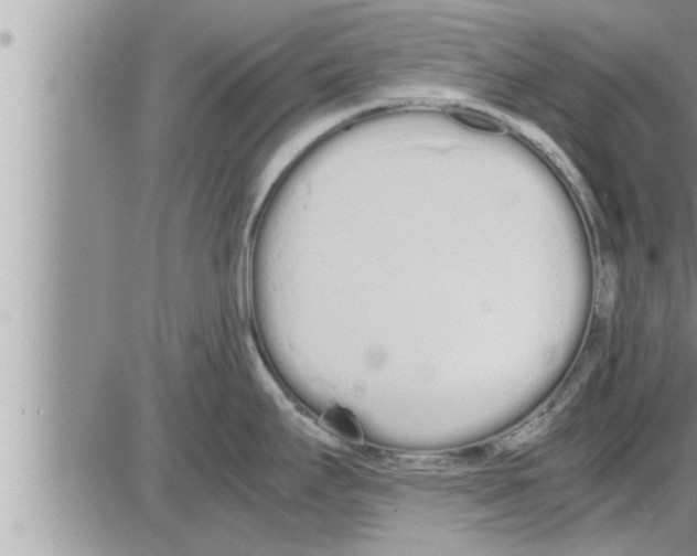 X0000086331295200704271933