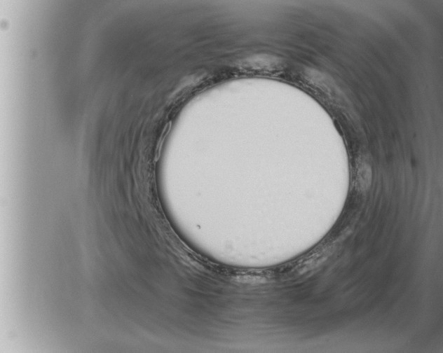 X0000086331297200704271932