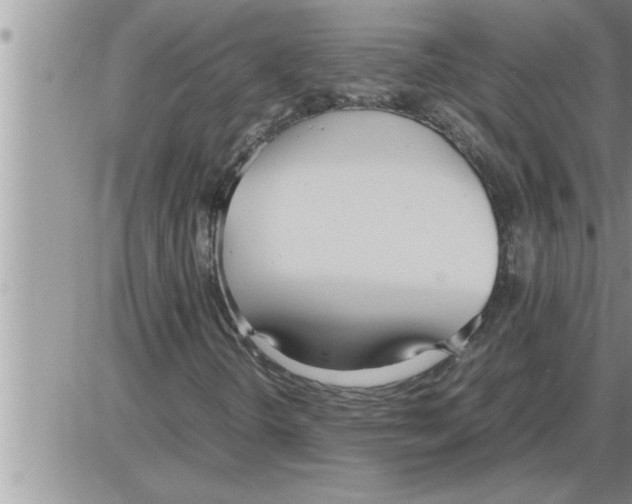 X0000086331298200704271932