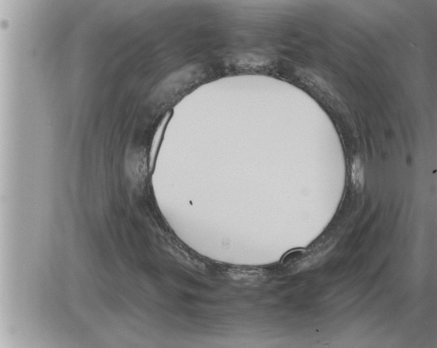 X0000086331299200704271932