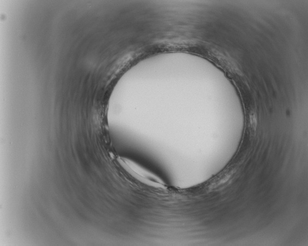 X0000086331300200704271932