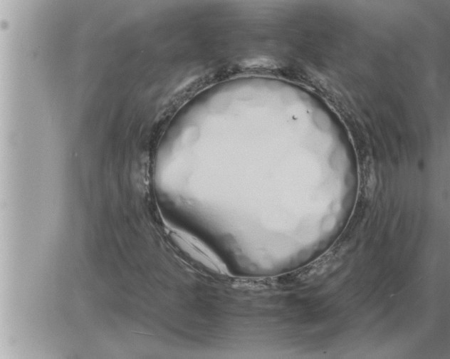 X0000086331301200704271932