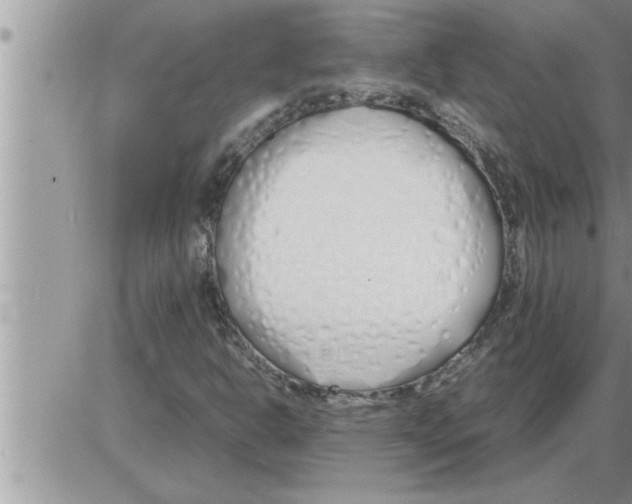 X0000086331302200704271932