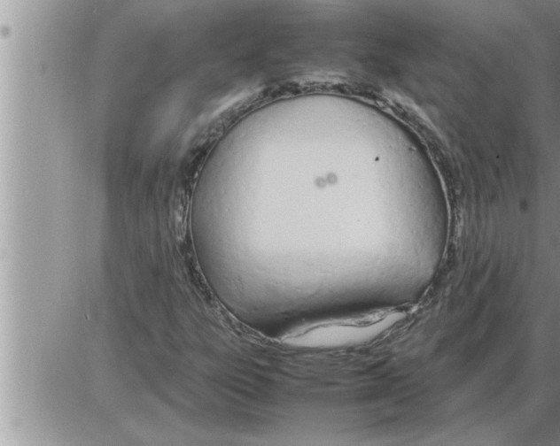 X0000086331303200704271932