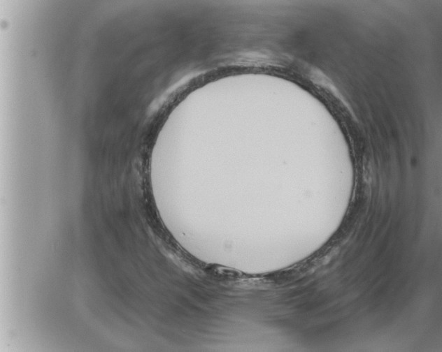 X0000086331304200704271932