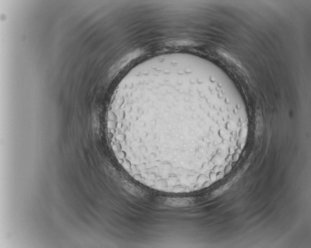 X0000086331305200704271932