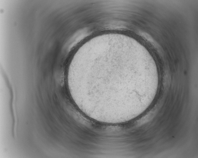 X0000086331306200704271932