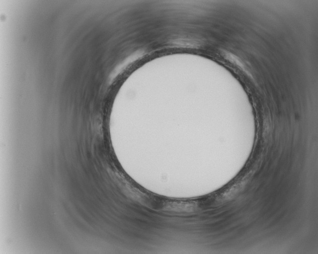 X0000086331307200704271932