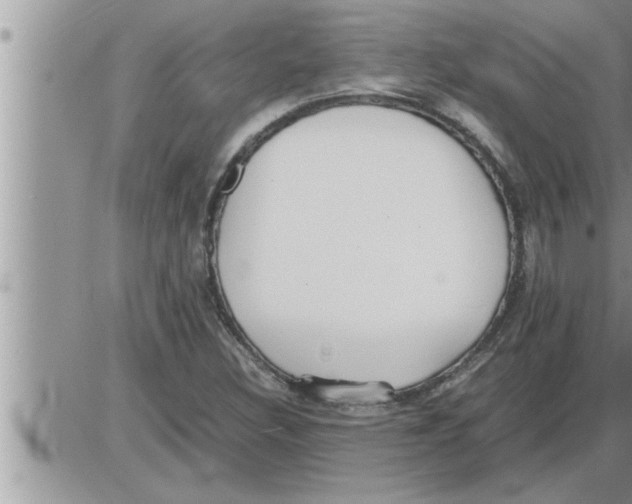 X0000086331308200704271932