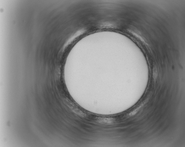 X0000086331309200704271932