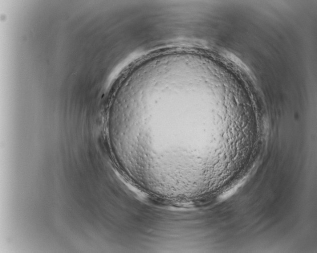 X0000086331310200704271932