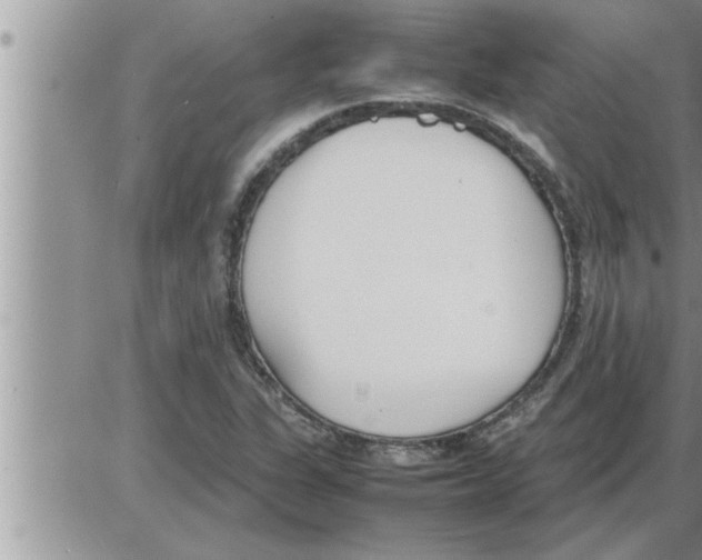 X0000086331311200704271932