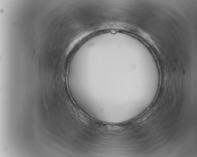 X0000086331312200704271932