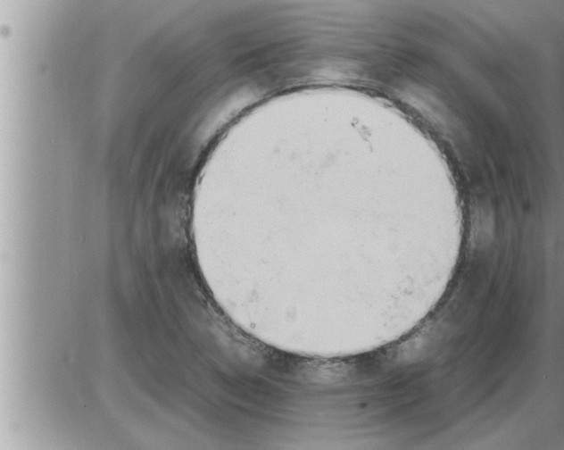 X0000086331314200704271932