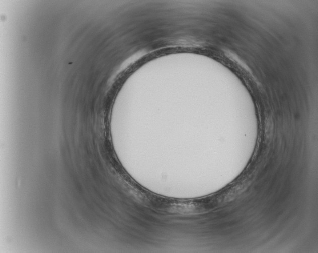 X0000086331315200704271932