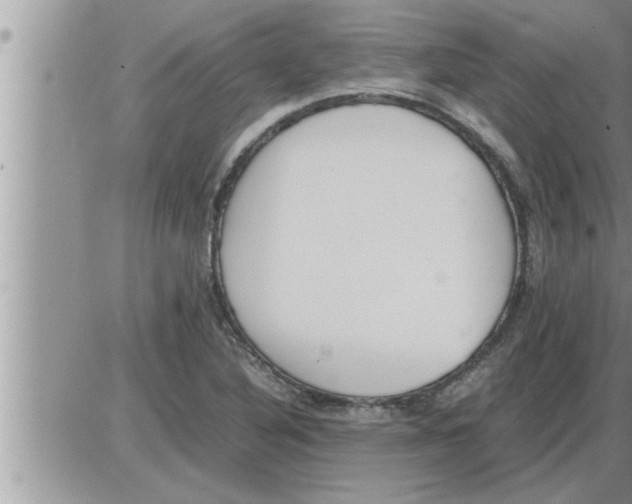 X0000086331316200704271932