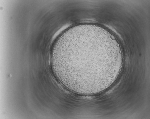 X0000086331317200704271932