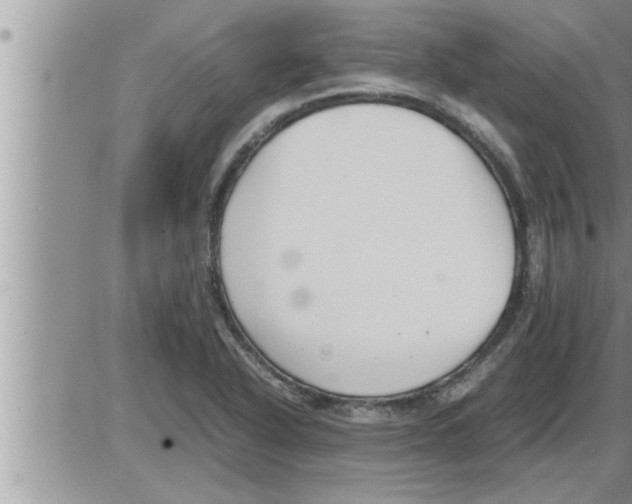 X0000086331318200704271932