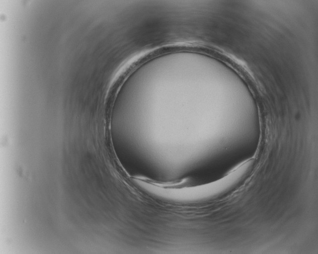 X0000086331319200704271932