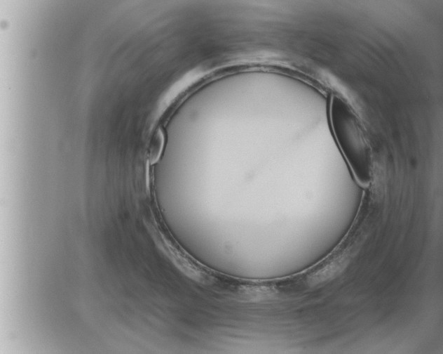 X0000086331320200704271932